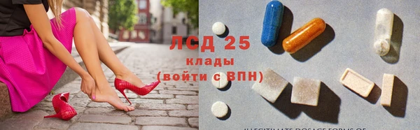 эйфоретик Алзамай