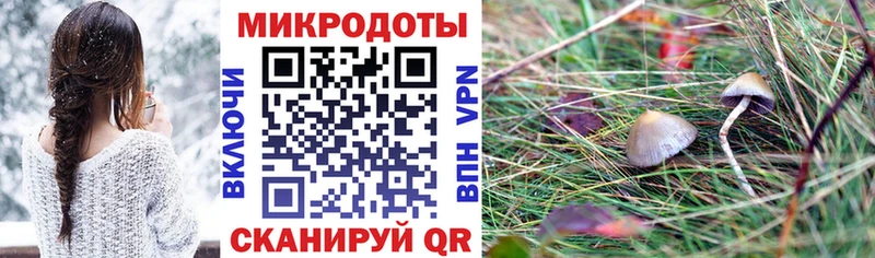 даркнет сайт  Иннополис  Псилоцибиновые грибы мицелий 