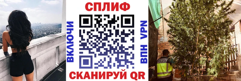 Бошки марихуана семена  hydra сайт  Иннополис 
